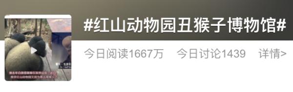登上热搜!红山动物园凭它再“出圈” 登上热搜!红山动物园凭它再“出圈”