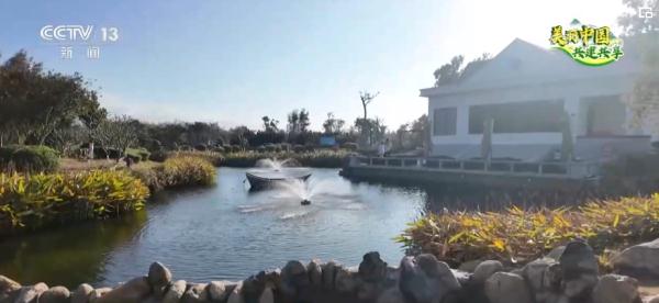 清新“蓝”怡人“绿” 百姓共享高颜值“生态福利”