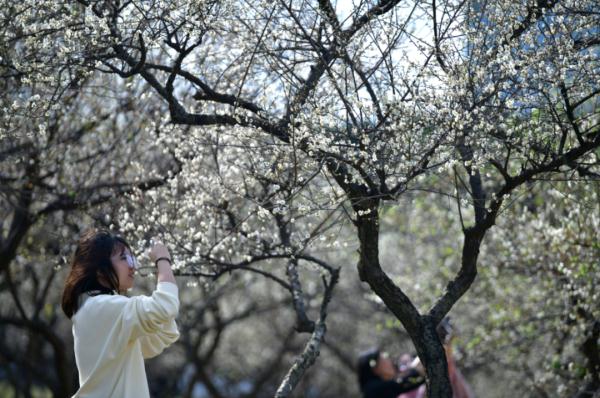猛降20多度，最低气温才5℃！广州面临“入冬级”降温！