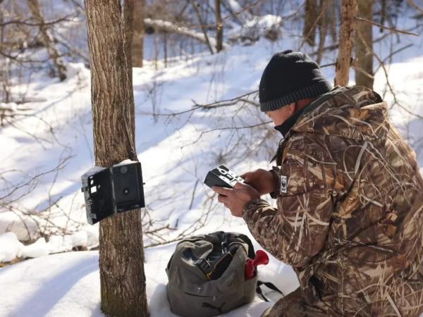 真虎！第五只！黑龙江省再次发现东北虎活动踪迹