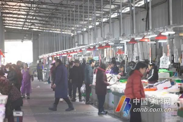 春节临近！宁波渔港码头迎来采购高峰