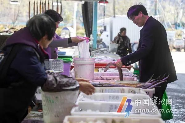 春节临近！宁波渔港码头迎来采购高峰