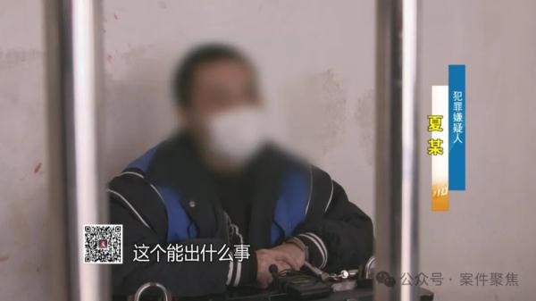 一开始只是为了表情包！沪一17岁学生成罪犯"帮凶"，自己还不知