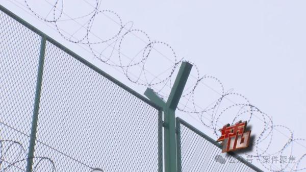 一开始只是为了表情包！沪一17岁学生成罪犯"帮凶"，自己还不知