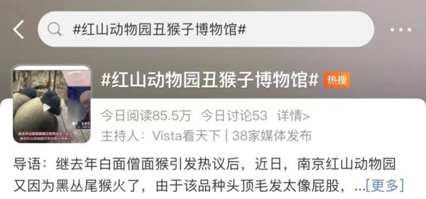 红山动物园“丑猴子”又上热搜