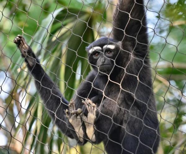 “丑”上热搜?但越看越上头,重庆竟然也有 “丑”上热搜?但越看越上头,重庆竟然也有