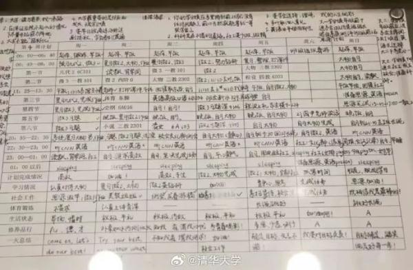 热搜！清华特奖双胞胎姐妹归国任教，她们曾火遍全网