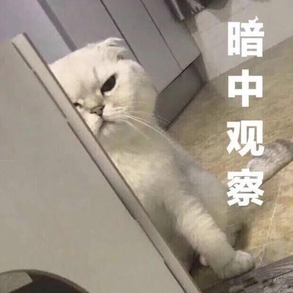 在上海药房，可以刷医保买“面膜”了？市民担心：会让医保盘子缩水吗？