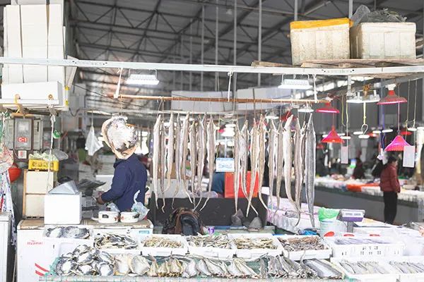 春节临近！宁波渔港码头迎来采购高峰