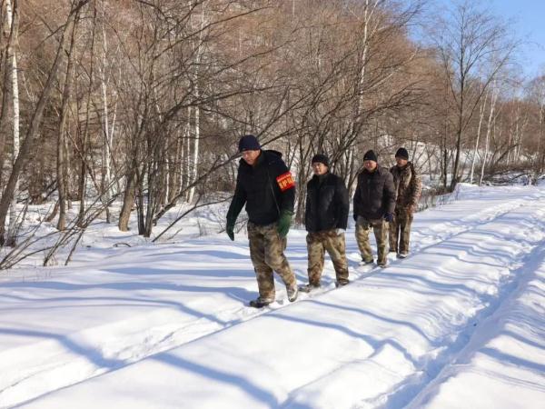 真虎！第五只！黑龙江省再次发现东北虎活动踪迹