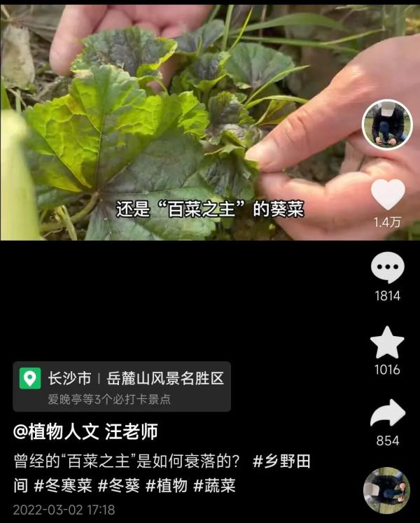 百万网友点赞！他用短视频记录长沙周边植物400余种