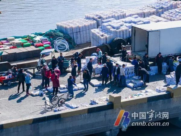 春节临近！宁波渔港码头迎来采购高峰