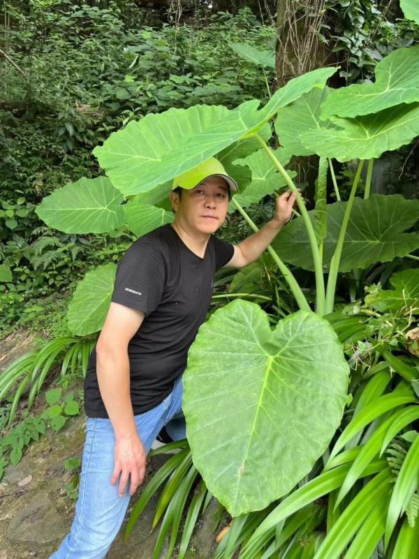 百万网友点赞！他用短视频记录长沙周边植物400余种