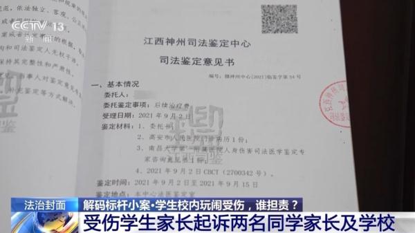 学生校内玩闹受伤，到底谁担责？从两起校园纠纷看责任划分→