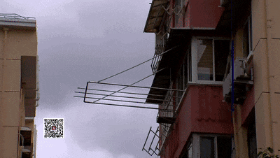 一开始只是为了表情包！沪一17岁学生成罪犯"帮凶"，自己还不知