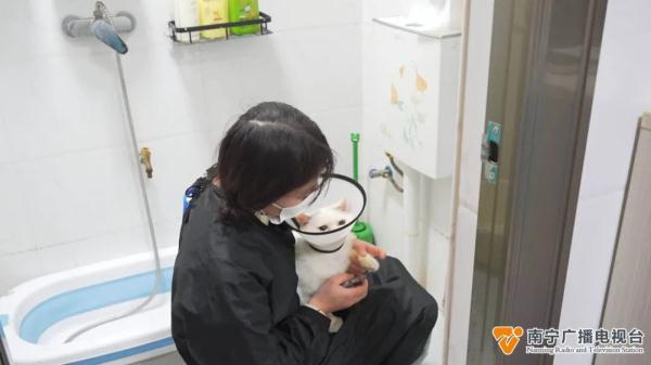 “萌宠经济”火热升温，“上门洗宠”需求高→