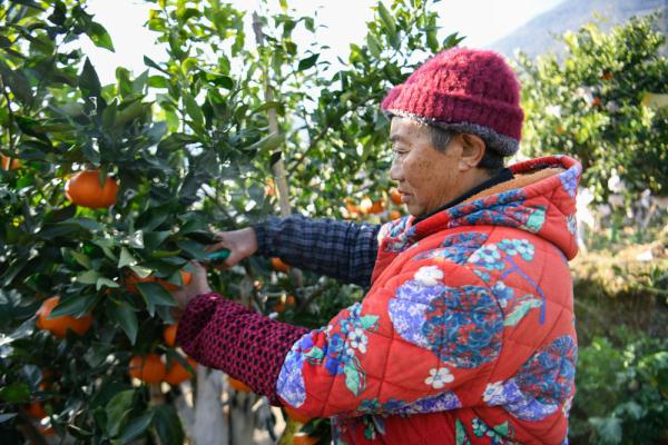 冲刺、收获、信心——四川“9·5”泸定地震灾区回访见闻 冲刺、收获、信心——四川“9·5”泸定地震灾区回访见闻