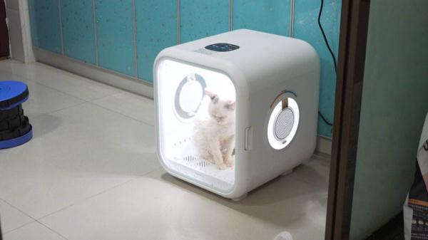 “萌宠经济”火热升温，“上门洗宠”需求高→