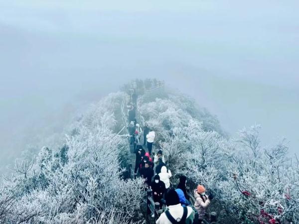 冷到下雪!气温狂跌!最低气温-8℃!寒潮即将到广西…… 冷到下雪!气温狂跌!最低气温-8℃!寒潮即将到广西……