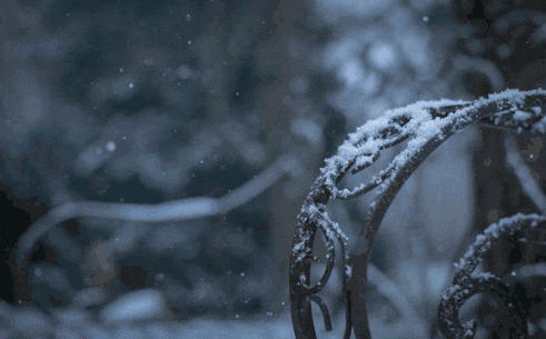 如何用“王家卫式台词”描述冬天?接招吧! 如何用“王家卫式台词”描述冬天?接招吧!