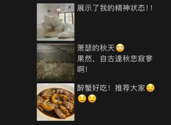 杭州小伙一天发十几条一又友圈，女友看了提离异……