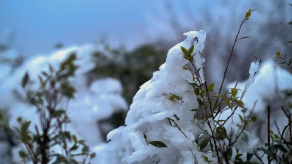紧急提醒!广西将冷到下雪!局部地区有大到暴雪! 紧急提醒!广西将冷到下雪!局部地区有大到暴雪!