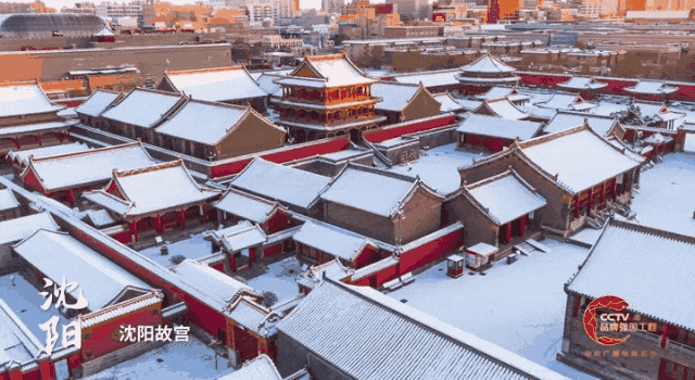 精彩亮相!沈阳又上央视了! 精彩亮相!沈阳又上央视了!