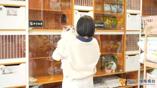 “萌宠经济”火热升温，“上门洗宠”需求高→