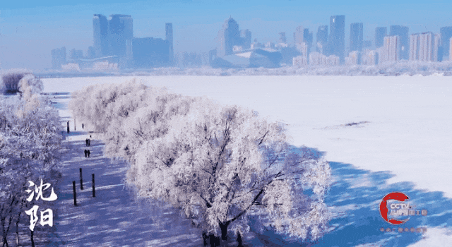 精彩亮相!沈阳又上央视了! 精彩亮相!沈阳又上央视了!