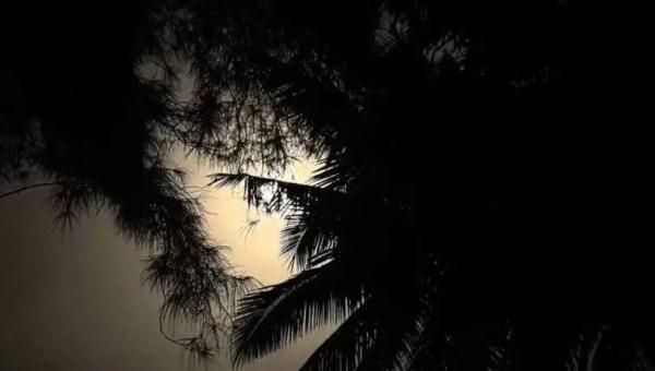 花“2888元内场看火箭发射”却被带到居民房楼顶,文昌市旅文局:已立案! 花“2888元内场看火箭发射”却被带到居民房楼顶,文昌市旅文局:已立案!