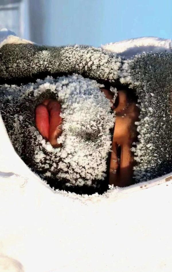 纹丝不动的他们是仿真人？敬礼那一刻让人泪目