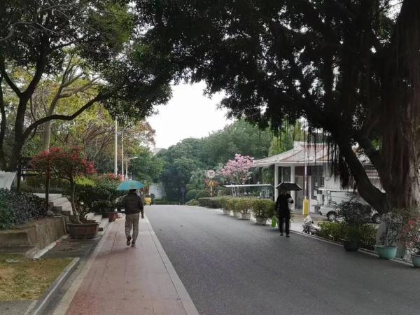 刚刚！厦门发布低温预警！最低-2℃，寒潮抵达时间……