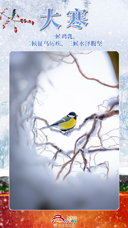 今日大寒 | 严冬岁末，腊尽春回