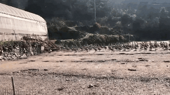 高端食材的价格,被这群浙江人打下来了 高端食材的价格,被这群浙江人打下来了