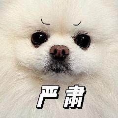 佛山好闺蜜凌晨在街头“偶遇”,却尴尬得面面相觑,下一秒都栽了…… 佛山好闺蜜凌晨在街头“偶遇”,却尴尬得面面相觑,下一秒都栽了……