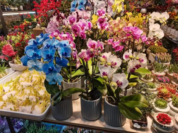 要涨价了！杭州一大早排起长队，卖疯了！87岁老大爷：怎么今年还要...