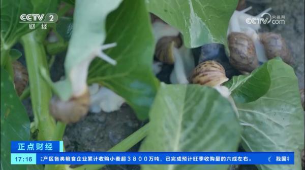 高端食材的价格,被这群浙江人打下来了 高端食材的价格,被这群浙江人打下来了