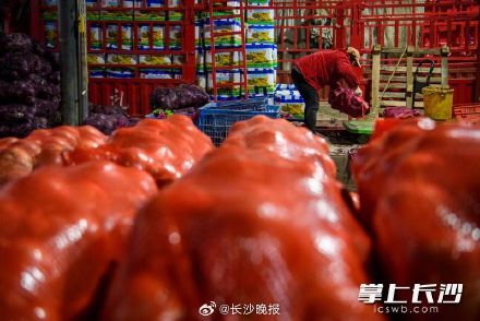 寒潮来袭,长沙菜篮子拎得稳 寒潮来袭,长沙菜篮子拎得稳