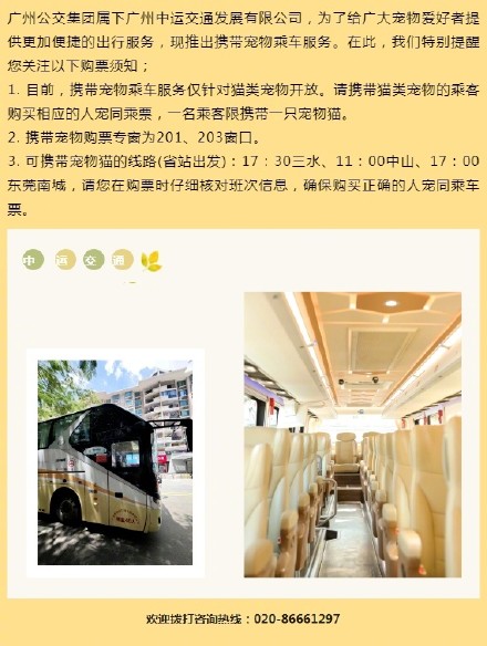 铲屎官来看！广州一客运站可带猫乘车 目前有3条带猫路线