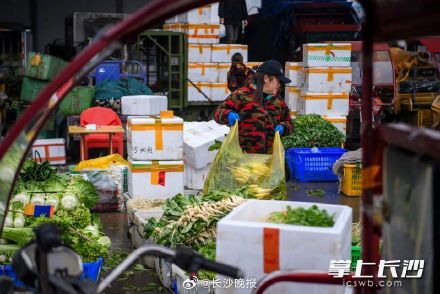 寒潮来袭,长沙菜篮子拎得稳 寒潮来袭,长沙菜篮子拎得稳