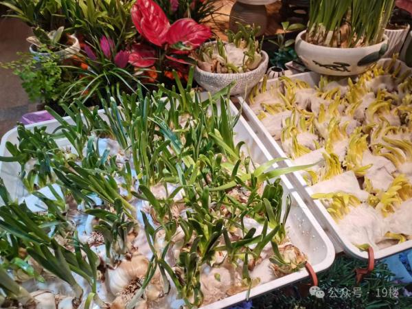 要涨价了！杭州一大早排起长队，卖疯了！87岁老大爷：怎么今年还要...