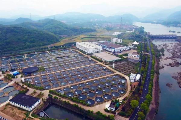 高端食材的价格,被这群浙江人打下来了 高端食材的价格,被这群浙江人打下来了