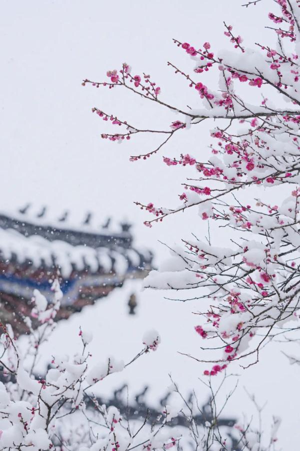 关于大寒的24句话！