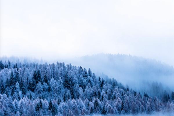 当古诗照进现实|寒气之逆极,冬尽春又近 当古诗照进现实|寒气之逆极,冬尽春又近