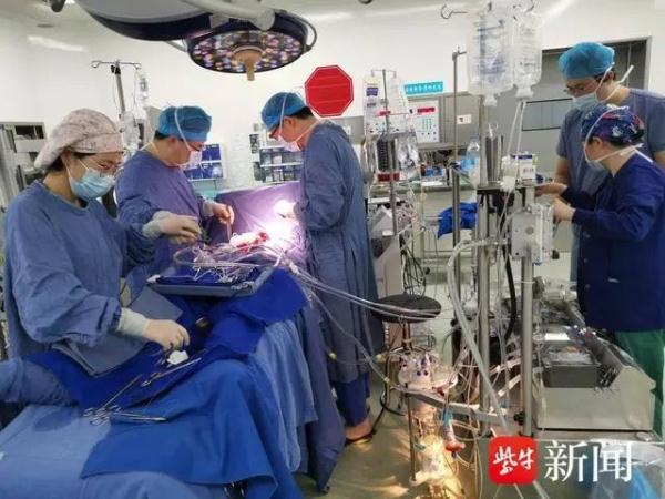 气到心裂、 抢救7小时！37岁宝妈辅导功课差点送了命