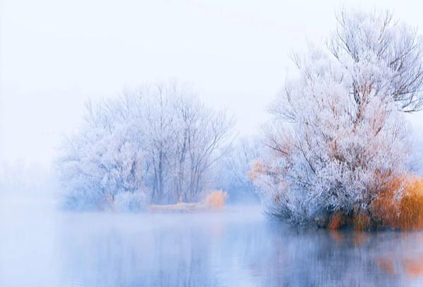 当古诗照进现实|寒气之逆极,冬尽春又近 当古诗照进现实|寒气之逆极,冬尽春又近