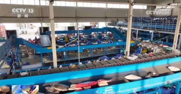 淘米水洗发露、智能猫砂盆……这些国货被老外种草了！