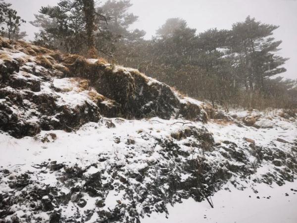 寒潮Ⅳ级预警！云南多地最低气温将低于0℃