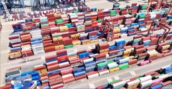 淘米水洗发露、智能猫砂盆……这些国货被老外种草了！