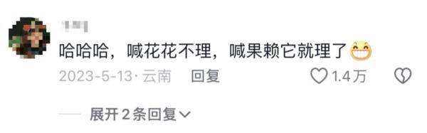 街头弹琴的工人大叔，被乘务“耽搁”的相声演员……他们收到春晚邀请函了！